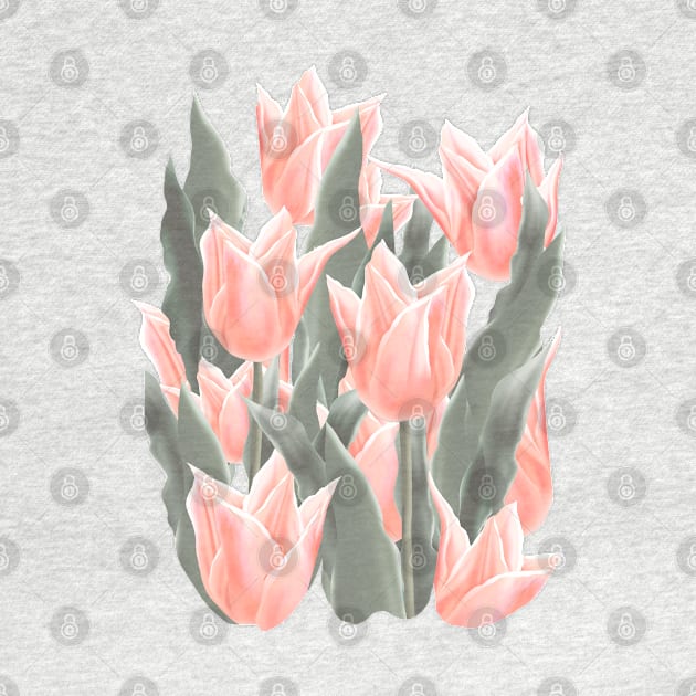 Stylish Peach Tulips Flowers Watercolor Illustration, coral pink color background by sofiartmedia